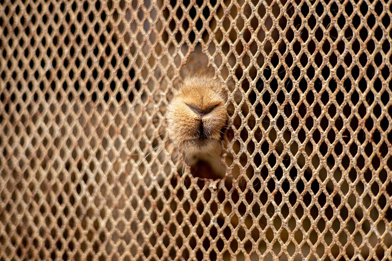  ���� ����������� �������� ������� ���������� 