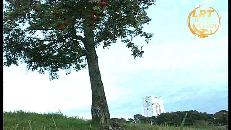 Šventadienio mintys 1998.09.13