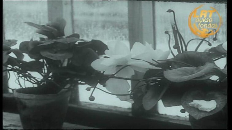 Tarybų Lietuva 1971 - 08. Respublikos pasiuntiniai