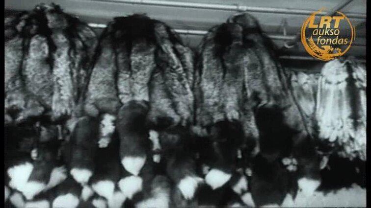 Tarybų Lietuva 1974 - 29