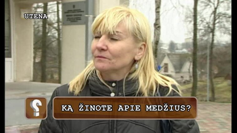 Klausimėlis: Ką žinote apie medžius?
