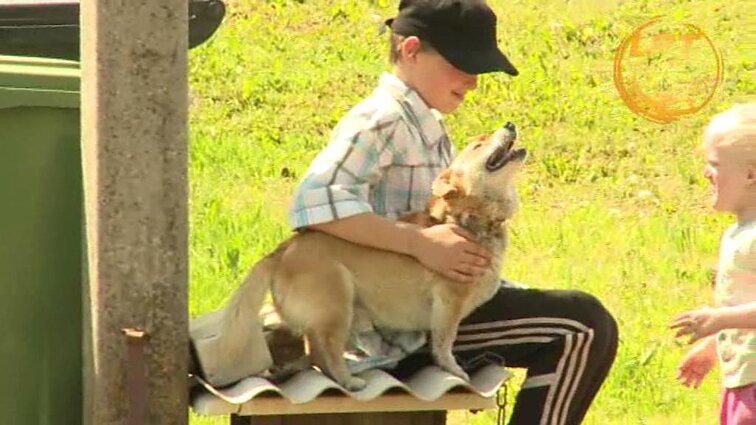 Bėdų turgus.