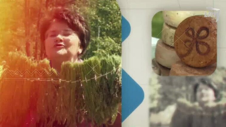 Ryto suktinis su Zita Kelmickaite.