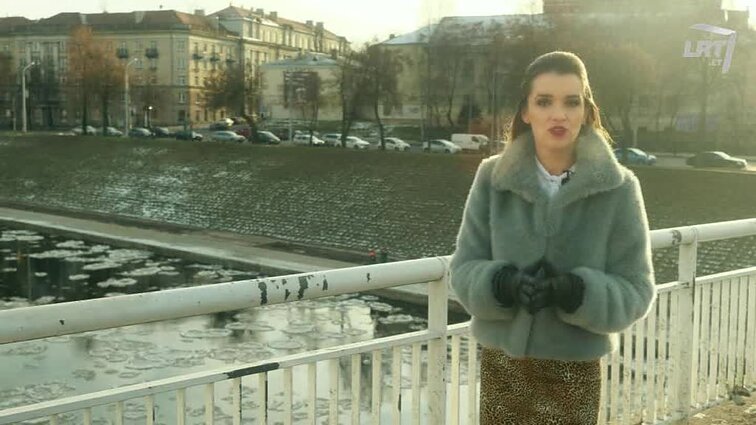 Laisvės vėliavnešiai.