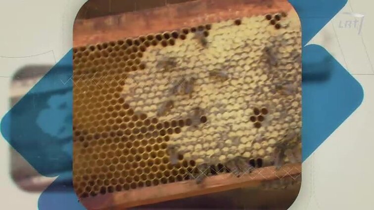 Ryto suktinis su Zita Kelmickaite.