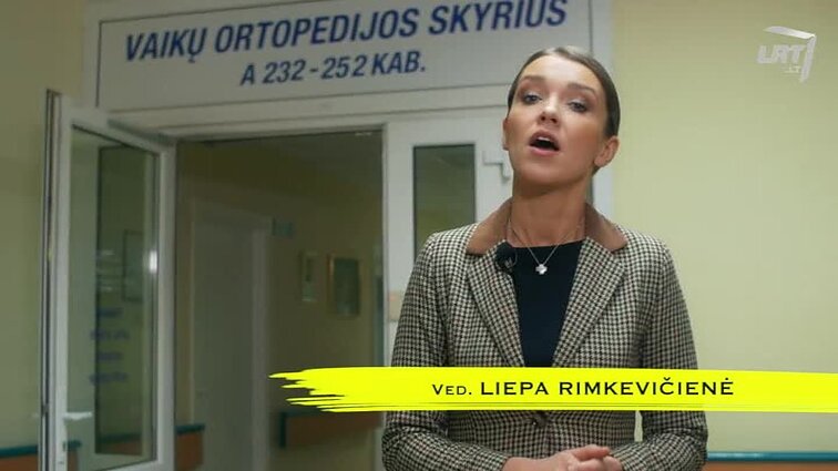 Laisvės vėliavnešiai.