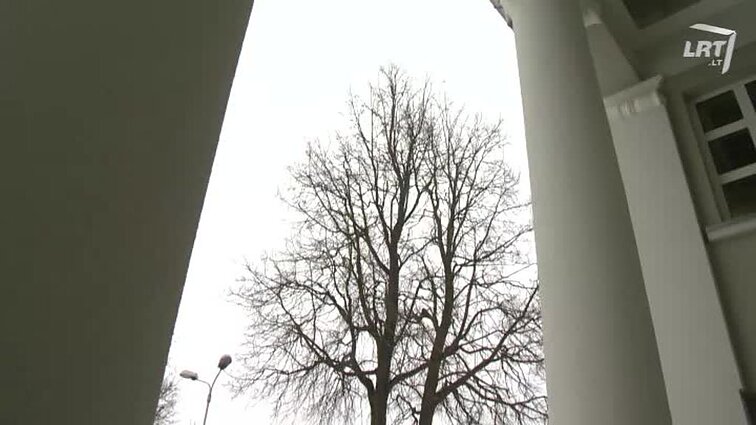 Atspindžiai. Buvęs Ukmergės kino teatras ir Vilniaus kino teatrai.