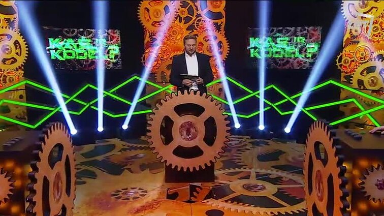 TV žaidimas „Kas ir kodėl?“.