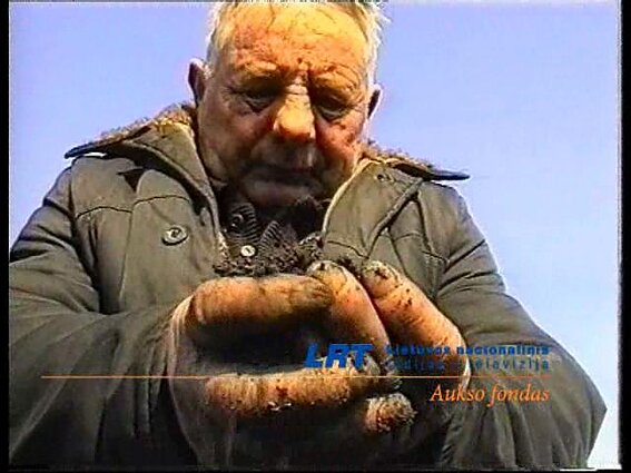 Tikros istorijos. Ukrainos kaimo problemos