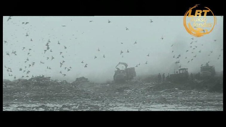 Rūkstančio kalno lobis