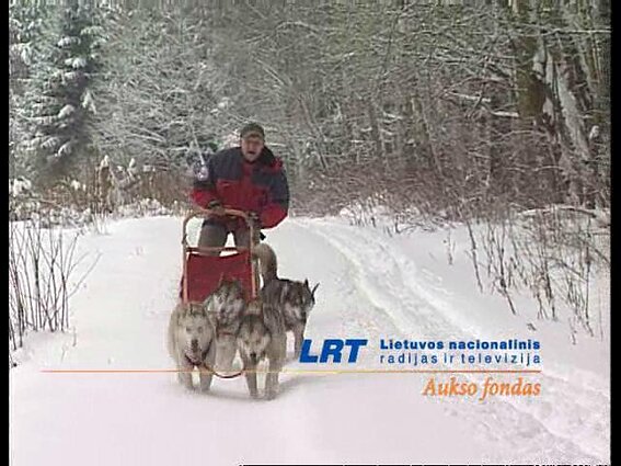 Žmonės kaip žmonės. Fotomenininkė M. Šileikaitė Čičirkienė, sporto su šunimis pradininkas H. Bliujus