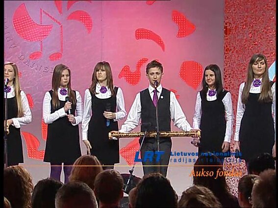 Dainų dainelė 2010 m. TV konkursas