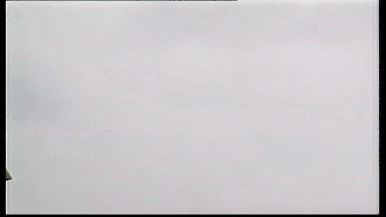 Klausimėlis: kuo pagarsėjęs Vytautas Didysis? Kuo pagarsėjęs Vytautas Didysis?