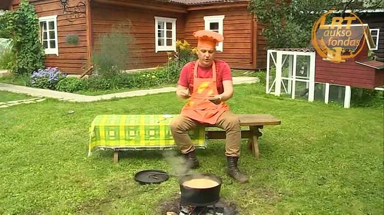 Gustavo enciklopedija