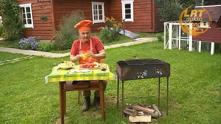 Gustavo enciklopedija