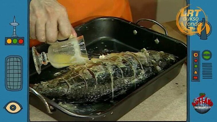 Gustavo enciklopedija