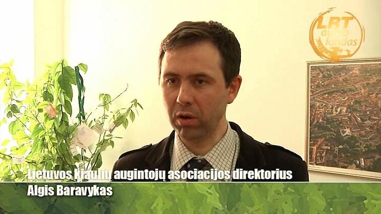 Gimtoji žemė