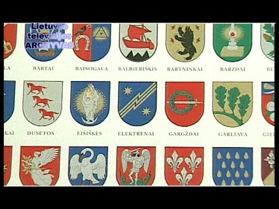 Amžių šešėliuose. Lietuvos nacionalinių simbolių problema