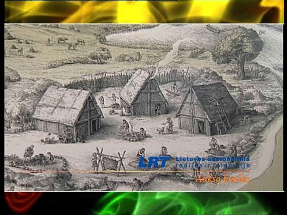 Amžių šešėliuose. Lietuvos archeologijos mokslo atradimai