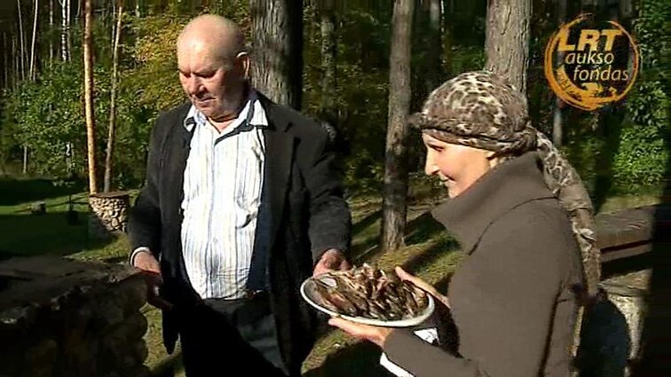 Kultūros savanoriai