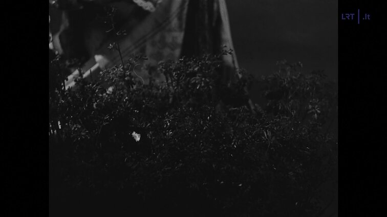 Danilos ir Eglės duetas