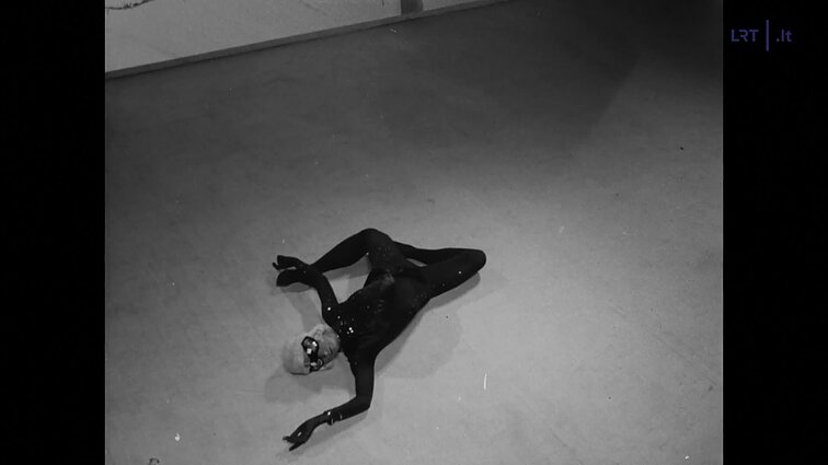 Šoka A. Ruzgaitė. Gyvatė