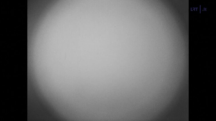 Marija Aleškevičiūtė. Pavasario svajonė