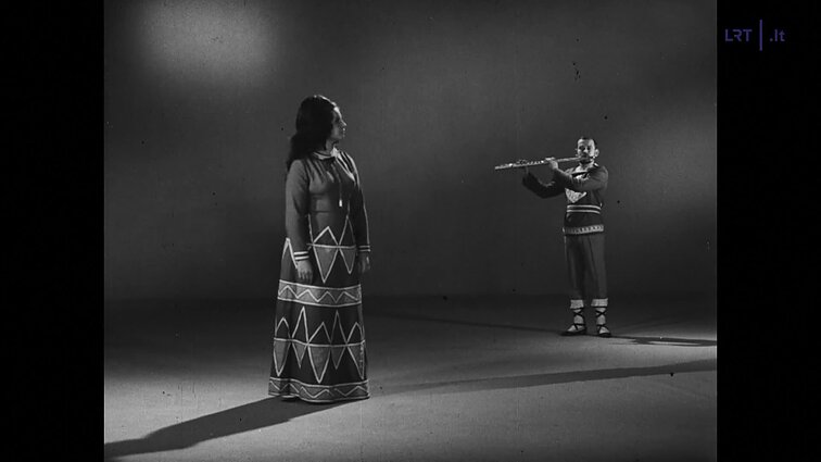 Gražina Apanavičiūtė. Ciklas „Raliavimai“