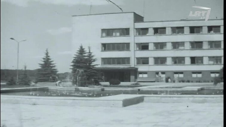 Laidų „Žinios“, „Sporto studija“ siužetai: irklavimas, žirgai