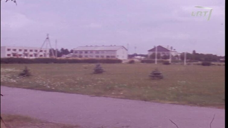 Laidų „Mokslo metams artėjant“, „Panorama“ siužetai: