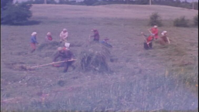 Laidų „Savaitės panorama“, „TSRS tautų spartakiada“ siužetai: sovietinė tautų spartakiada