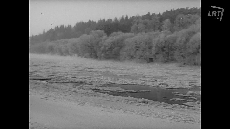 Tarybų Lietuva 1981 - 06 (1367)