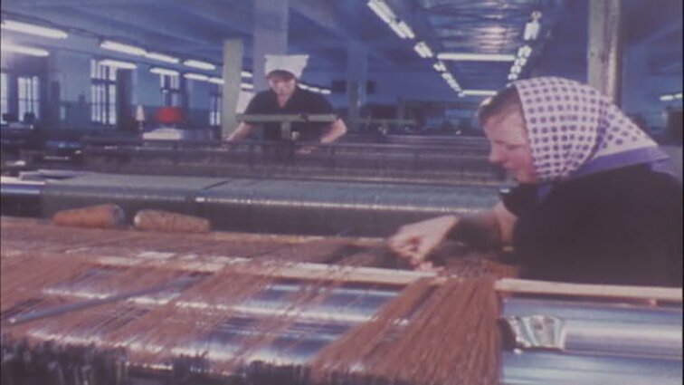 Laidos „Panorama“ siužetai: selekcininkai, vargonininkė Nijolė Dainienė