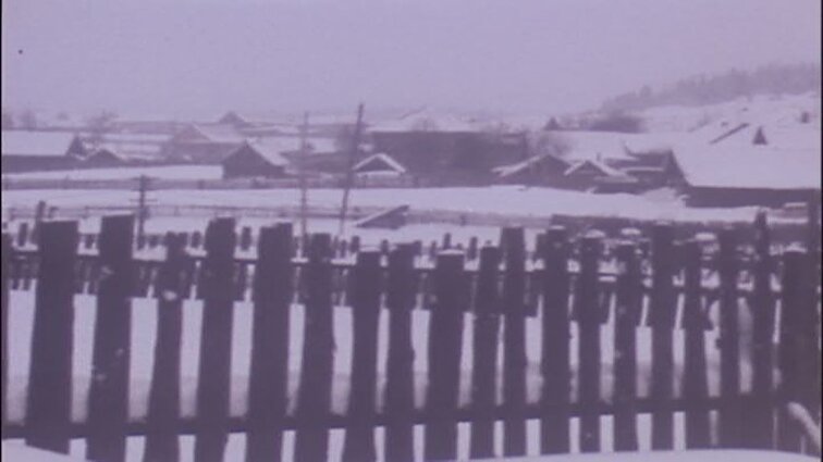 Videofilmo „Tėvynei pašaukus. Kai žemė degė“ siužetai: lietuvių internatinė mokykla Debiosuose, Penza