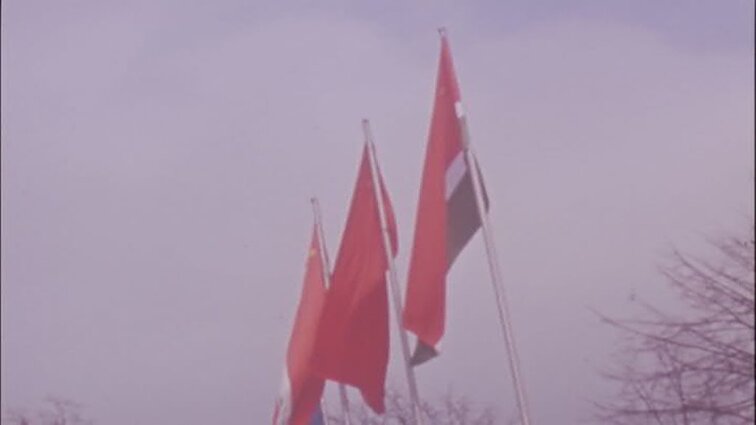 Laidos „Panorama“ siužetai: gegužės 1 demonstracijos