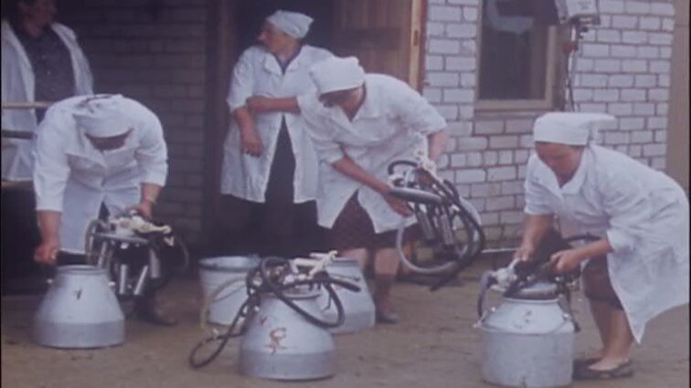 Laidų „Panorama“, „Aktorė Antanina Mackevičiūtė“ siužetai: Lenkijos automobilių paroda, aktorė Antanina Mackevičiūtė