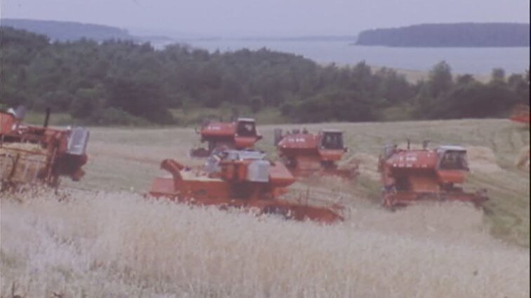 Laidos „Panorama“ siužetai: laivų prastovos, dailės kūrinių saugyklos, restauravimas