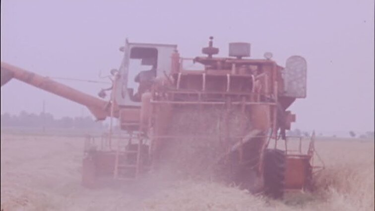 Laidos „Panorama“ siužetai: moksleivių mugė Panevėžyje, Alytaus medvilnės kombinatas