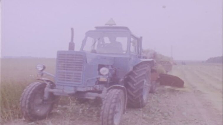 Laidų „Panorama“, „Miestas ir žmonės“ siužetai: Klaipėdos kartono gamykla, lignosulfatas, Vilniaus vaizdai