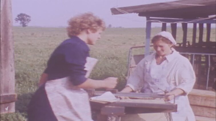 Laidos „Panorama“ siužetai: Švenčionėlių vaistažolių fabrikas, Jonavos kultūros ir sporto šventė