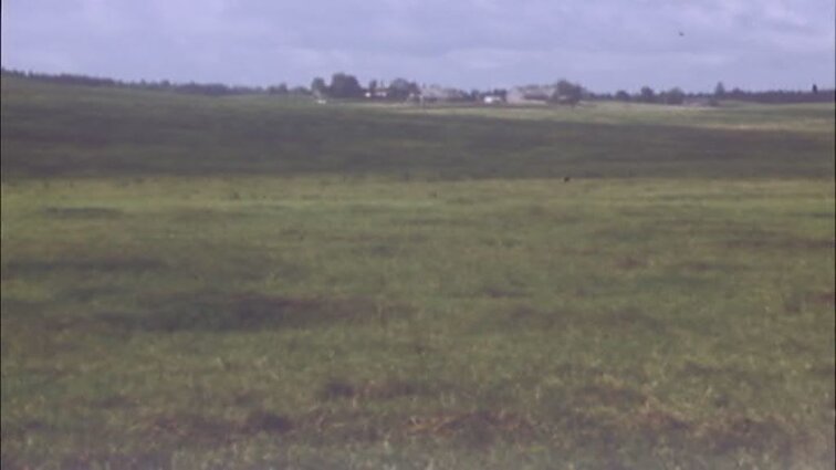 Laidos „Rašytojas ir knyga“ siužetai: rašytojas Raimondas Kašauskas pristato romaną „Saulelė raudona“