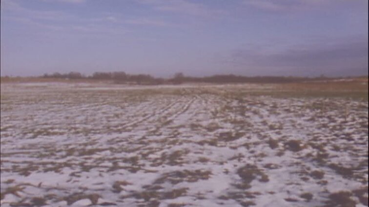 Laidos „Panorama“ siužetai: antikorozinė danga, studentų statybiniams būriams 35 metai