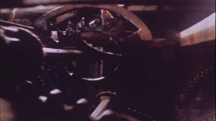 Laidos „Viktorina 10x10“ siužetai: VU botanikos sodo filialai, Dovainonys, Žiežmariai, Rumšiškės