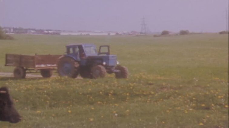 Laidų „Panorama“, „Kultūros metraščiai“ siužetai: Kėdainių degtindarys, Marcelino Šikšnio, Marijos ir Jurgio Šlapelių kapai