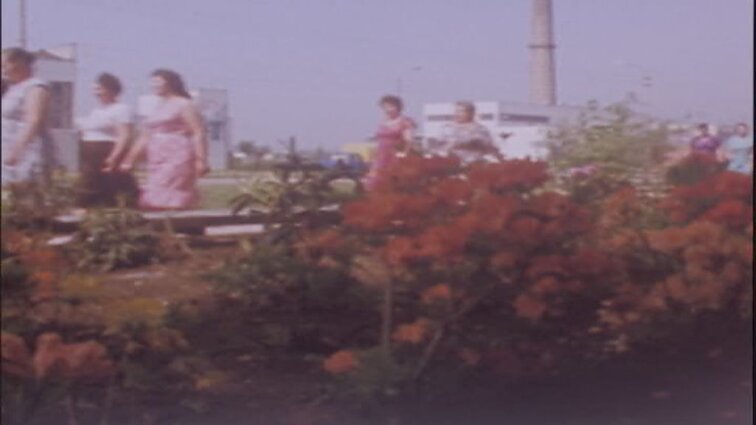 Laidos „Panorama" siužetai: ožiarūtis, Dalia Tamulevičiūtė