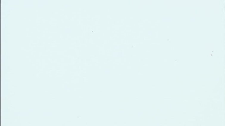 Laidos „Kino pasaulyje" siužetai: „Neatmenu tavo veido" filmavimo aikštelėje