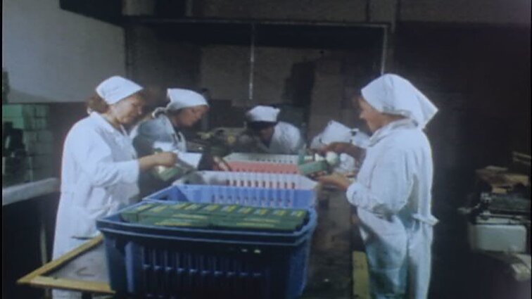 Laidos „Agropramoninis kompleksas“ siužetai: žolelių mišiniai, patobulintas plūgas