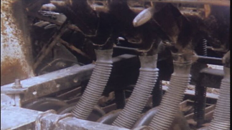 Laidos „Panorama“ siužetai: Alytaus viešasis transportas, Arvydas Sabonis