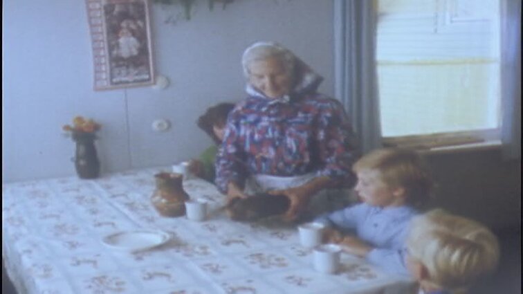 Laidos „Panorama“ siužetai: kepykla, pušų daigynas