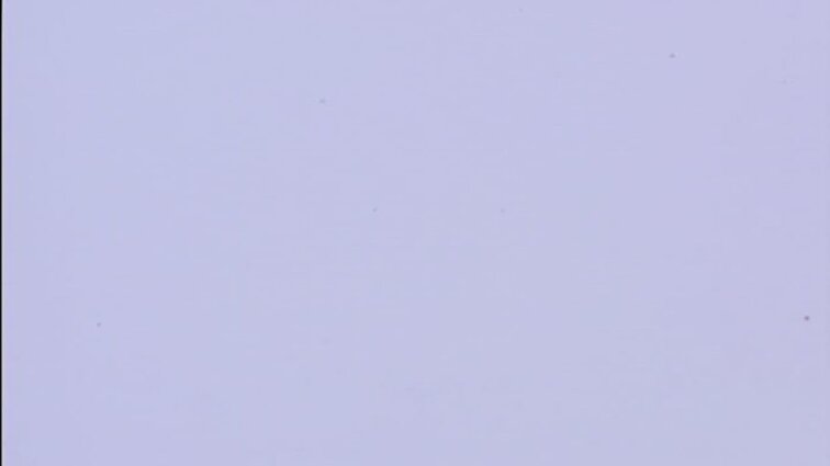 Laidos „Teatras“ siužetai: Marijampolės teatras